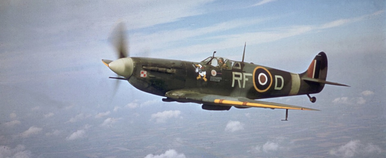 WARBIRD: Air Combat Simulator